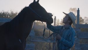 The Rider's poster