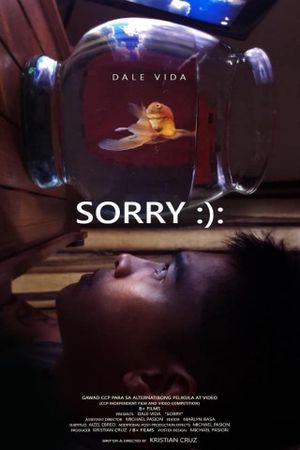 Sorry's poster