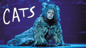 Cats's poster