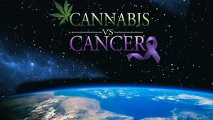 Cannabis vs. Cancer's poster