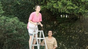 The Second Mother's poster