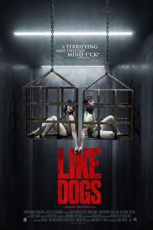 Like Dogs's poster