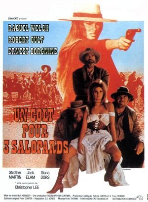Hannie Caulder's poster