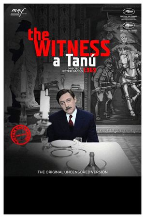 The Witness's poster