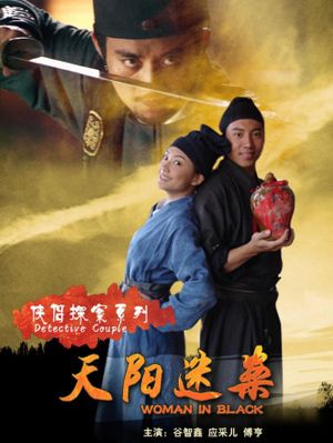侠侣探案之天阳迷案's poster
