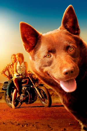 Red Dog's poster
