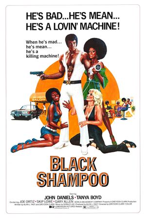 Black Shampoo's poster