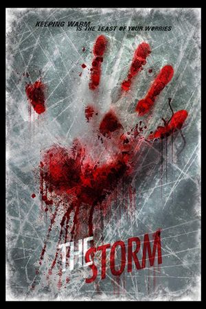 The Storm's poster