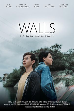 Walls's poster image