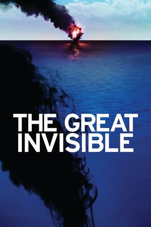 The Great Invisible's poster