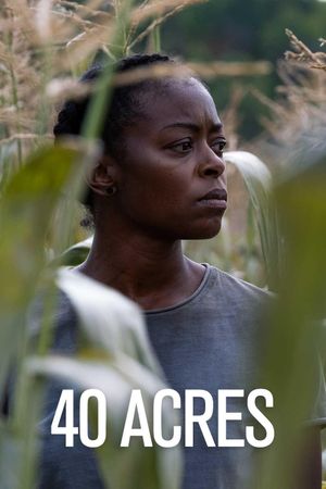 40 Acres's poster