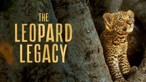 The Leopard Legacy's poster