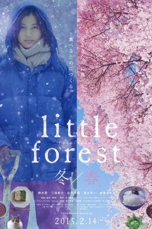 Little Forest: Winter/Spring's poster