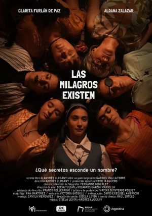 Las Milagros existen's poster image