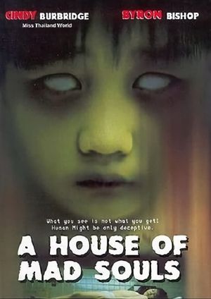 A House of Mad Souls's poster