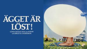 The Softening of the Egg's poster