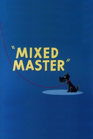 Mixed Master's poster