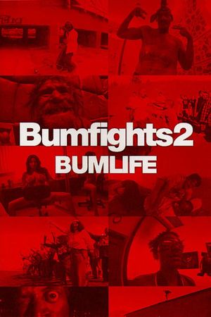 Bumfights Vol. 2: Bumlife's poster