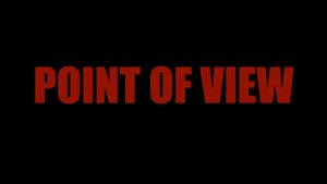 Point of View's poster