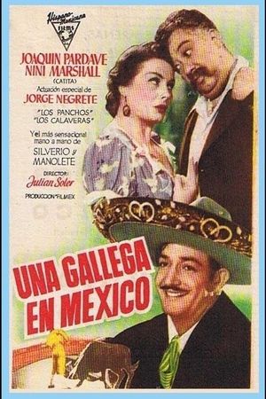 Una gallega en México's poster