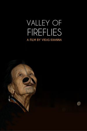 Valley of Fireflies's poster