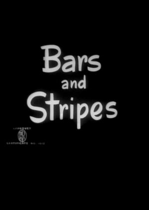 Bars and Stripes's poster