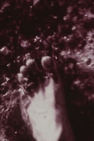 Footprints's poster