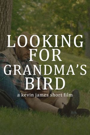 Looking for My Grandma's Bird's poster