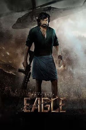 Eagle's poster