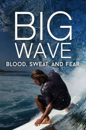 Big Wave: Blood, Sweat, and Fear's poster