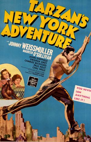 Tarzan's New York Adventure's poster