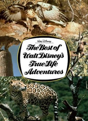 The Best of Walt Disney's True-Life Adventures's poster
