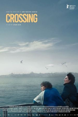 Crossing's poster