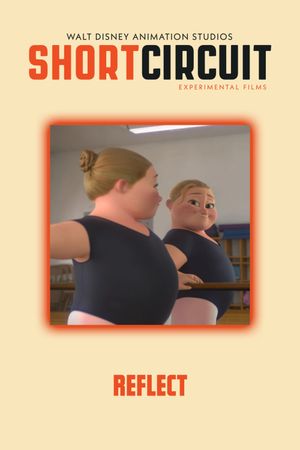 Reflect's poster