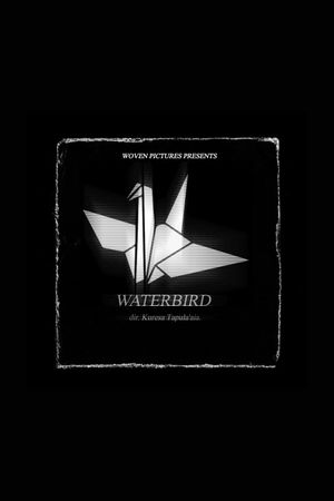 Waterbird's poster