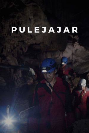 Pulejajar's poster