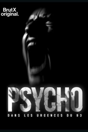 Psycho : dans les urgences du 93's poster