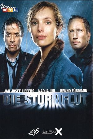 Die Sturmflut's poster