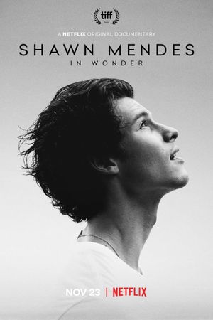 Shawn Mendes: In Wonder's poster