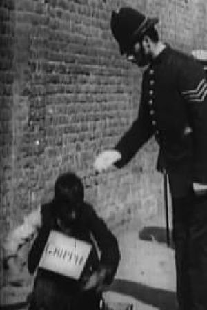 The Beggar's Deceit's poster