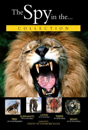 Lions: Spy in the Den's poster