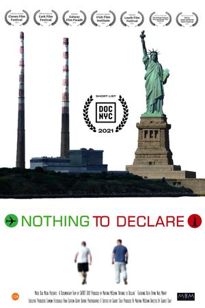 Nothing to Declare's poster