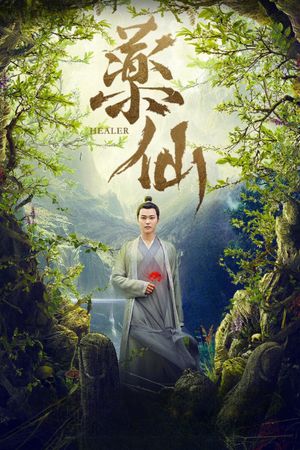 Healer's poster