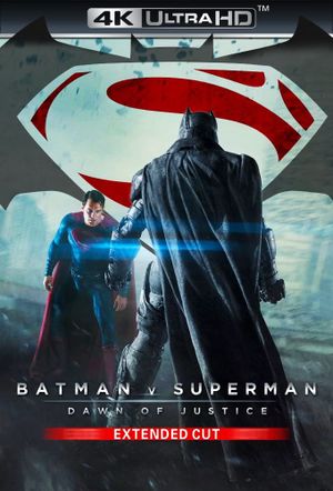 Batman v Superman: Dawn of Justice's poster