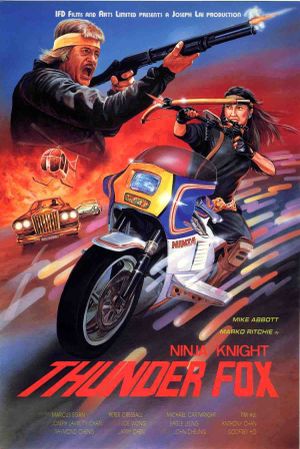 Ninja Knight Thunder Fox's poster