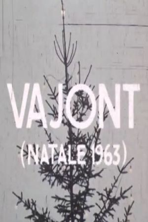 Vajont (Natale 1963)'s poster image