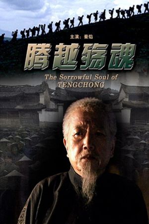腾越殇魂's poster