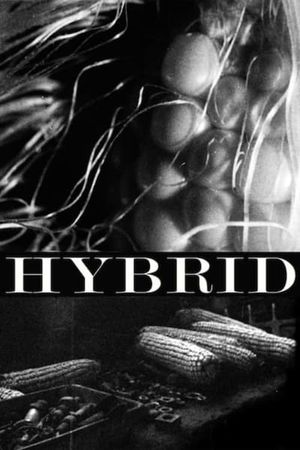 Hybrid's poster image