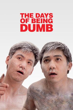 The Days of Being Dumb's poster