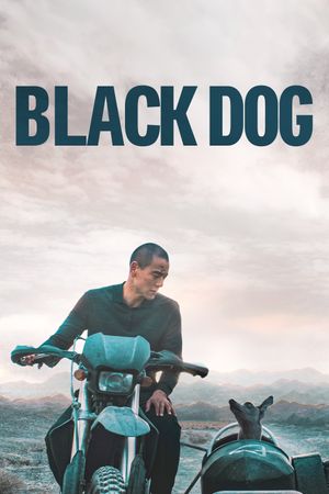 Black Dog's poster